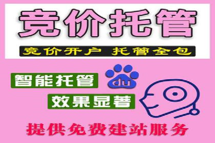 SEM外包策略在电商平台的成功案例